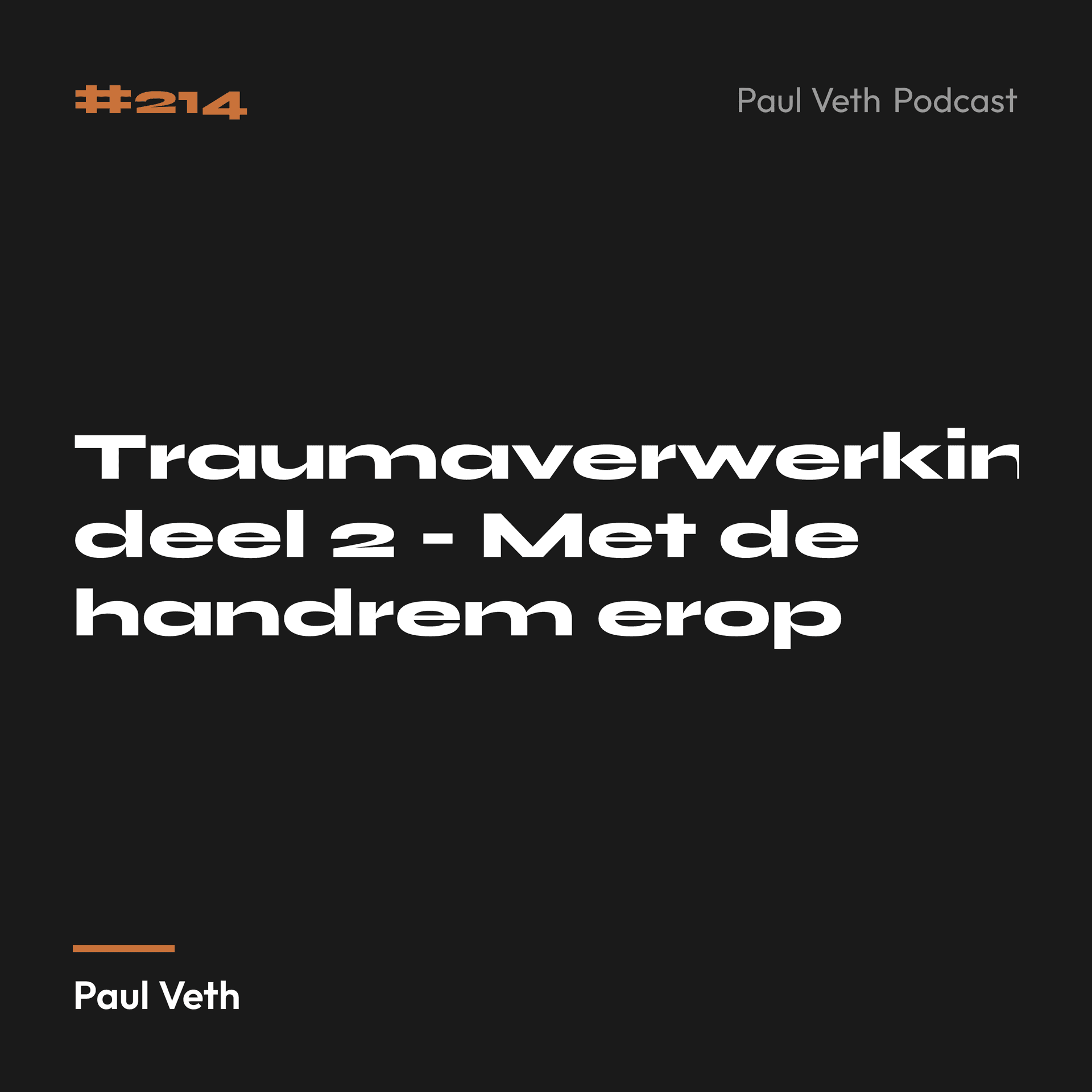Traumaverwerking deel 2 - Met de handrem erop