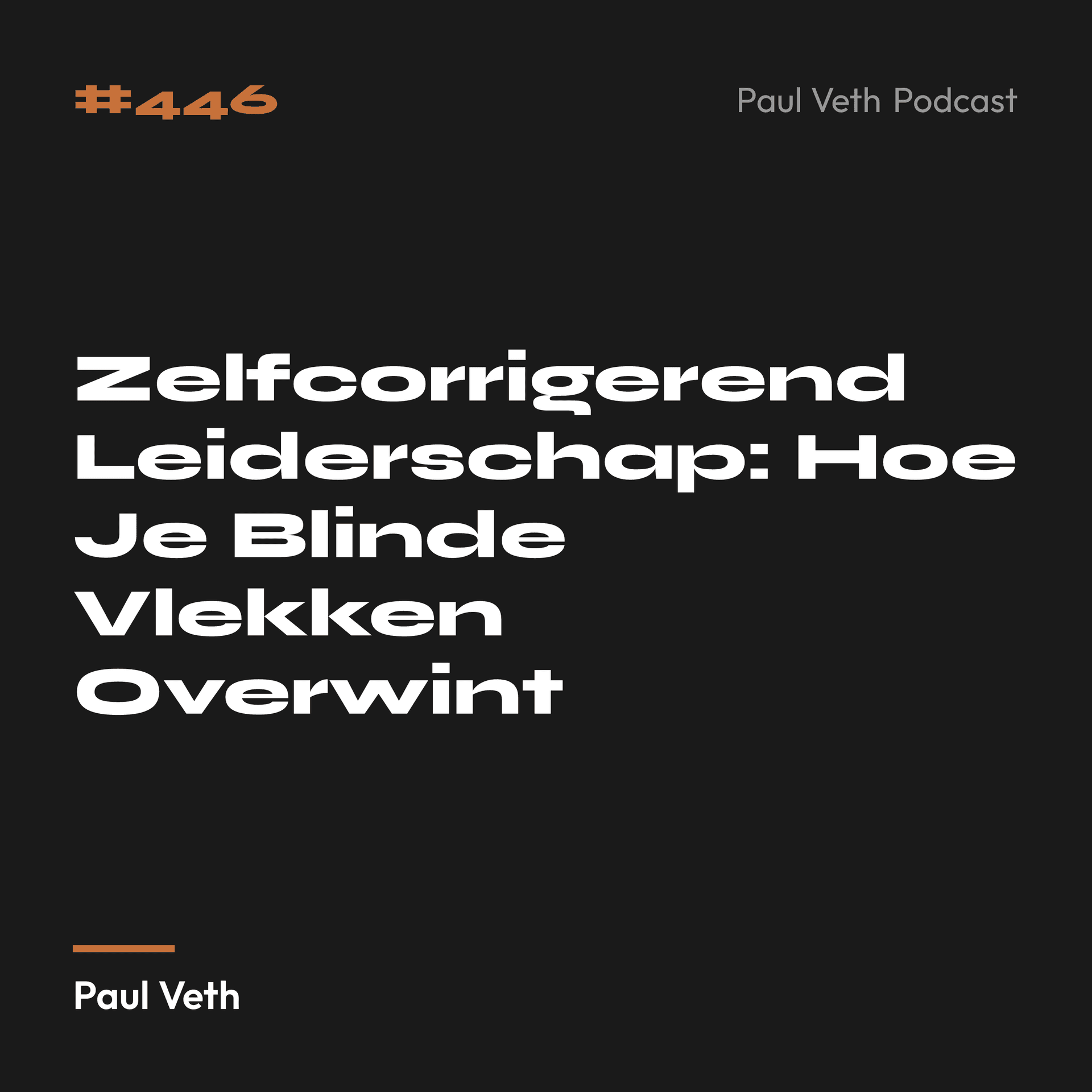 Zelfcorrigerend Leiderschap: Hoe Je Blinde Vlekken Overwint